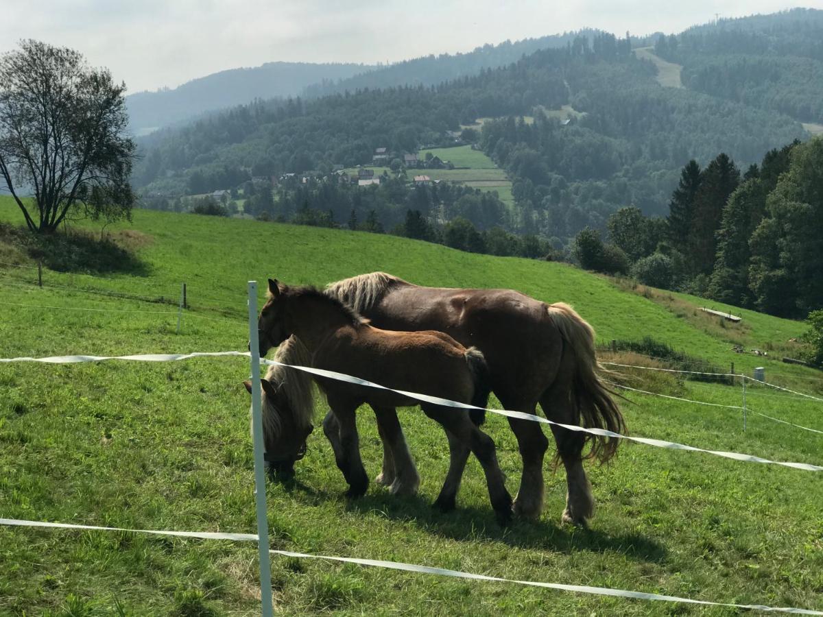 Chata Pod Gorka Wisła Esterno foto